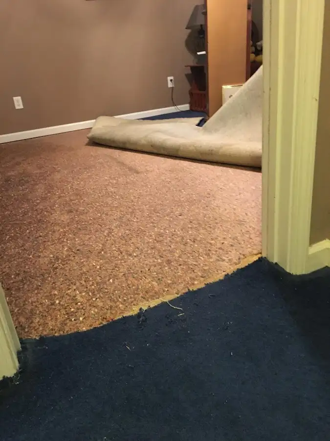 Carpet pad removal revealing water damage during Drying & Dehumidification in Pueblo West